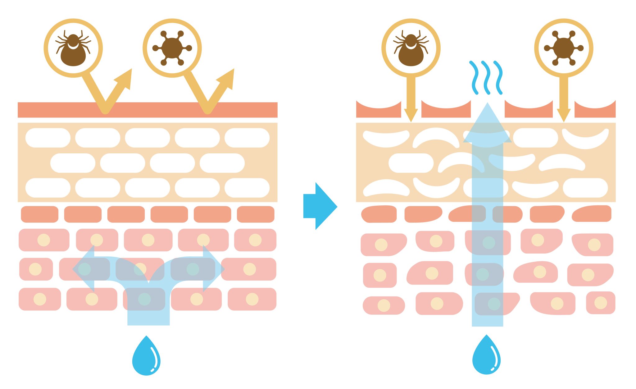 Buy Therabond 3D Antimicrobial Contact Layer at Medical Monks!